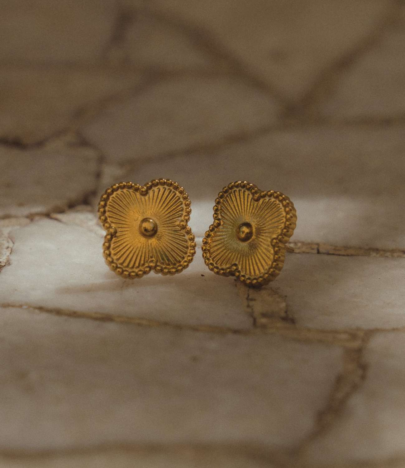 Golden Ivory Studs