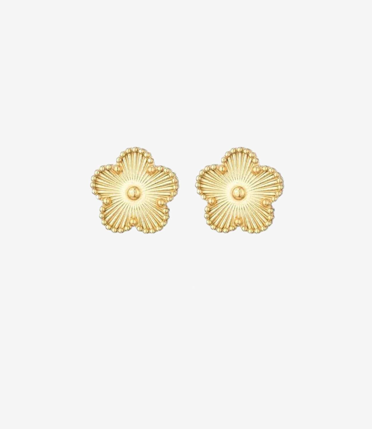 Golden Ivory Studs